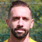 F. Castellazzi